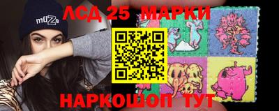 гидра Аша