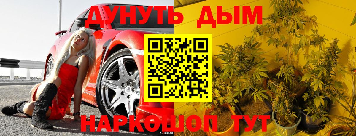 Марихуана VHQ  МАРИХУАНА план  Вход с VPN  Волгодонск 